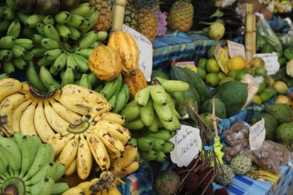 Food Security Program